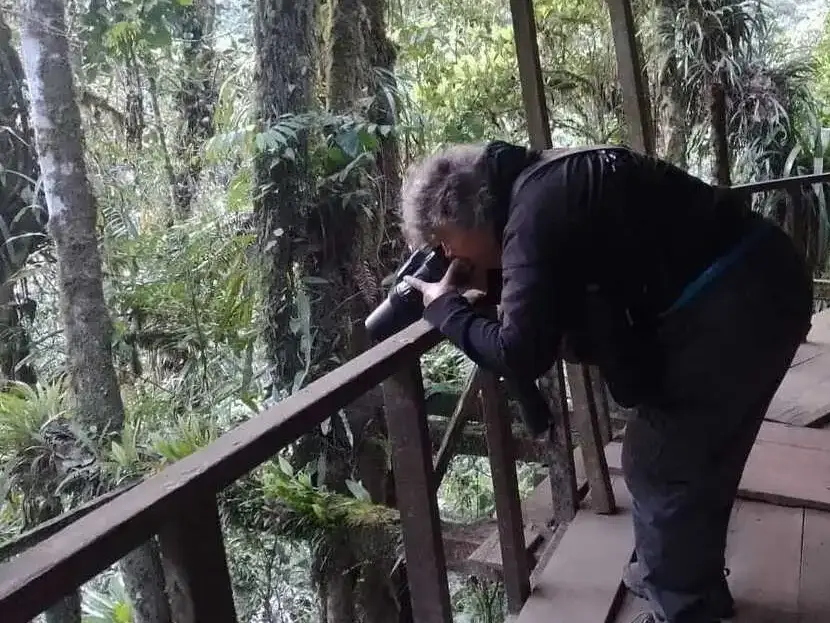 manu birding tours