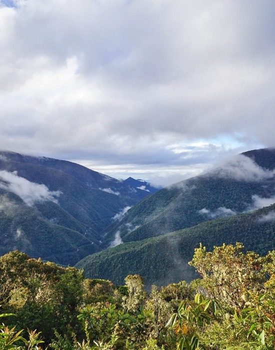 manu national park tours